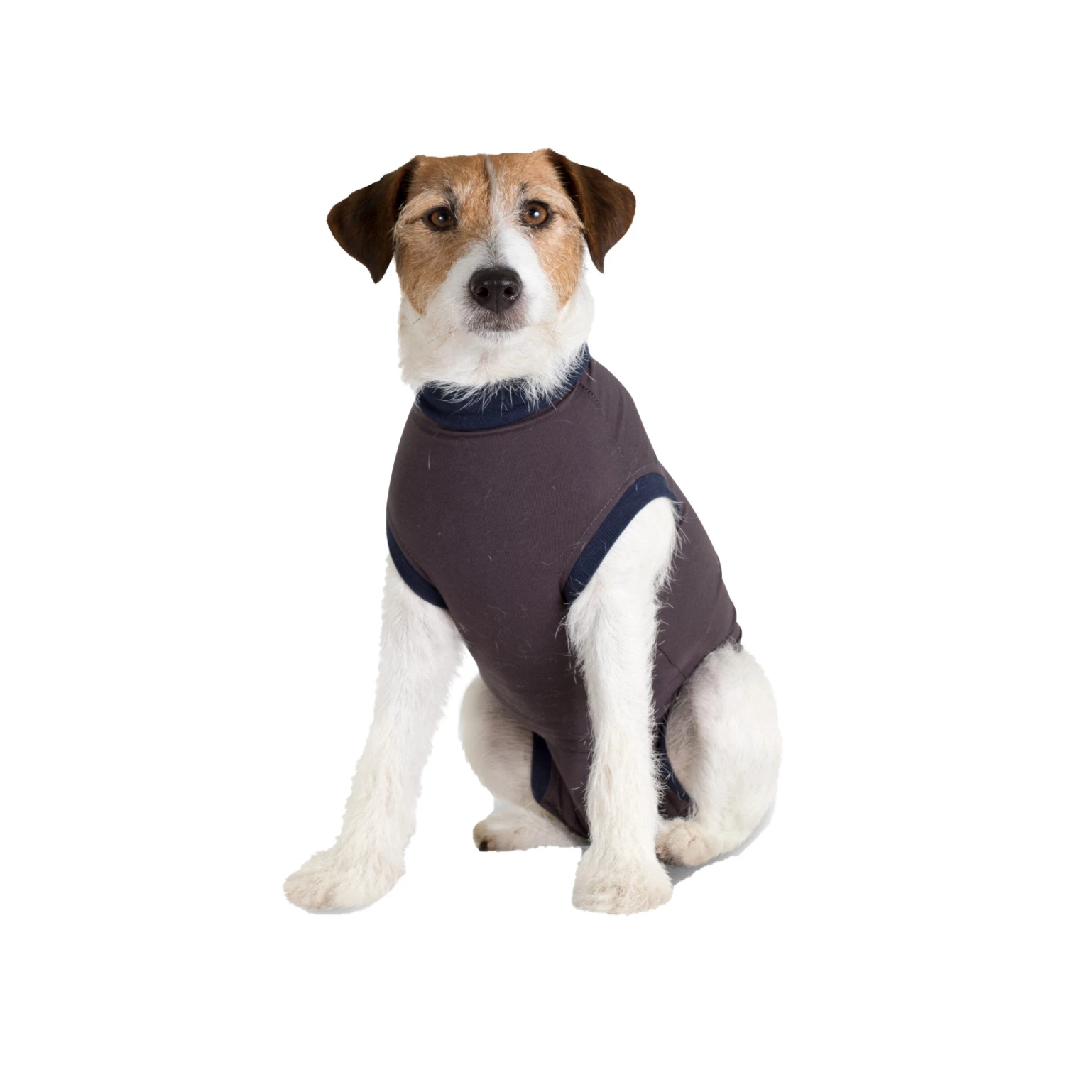 Jacketz Medical Body Suit Hond - Afbeelding 13