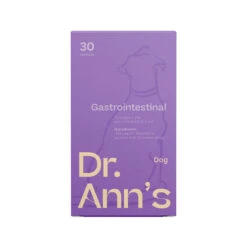 Dr. Ann's Gastrointestinal Support