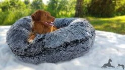 Hondenmand Bagel Midnight Frost