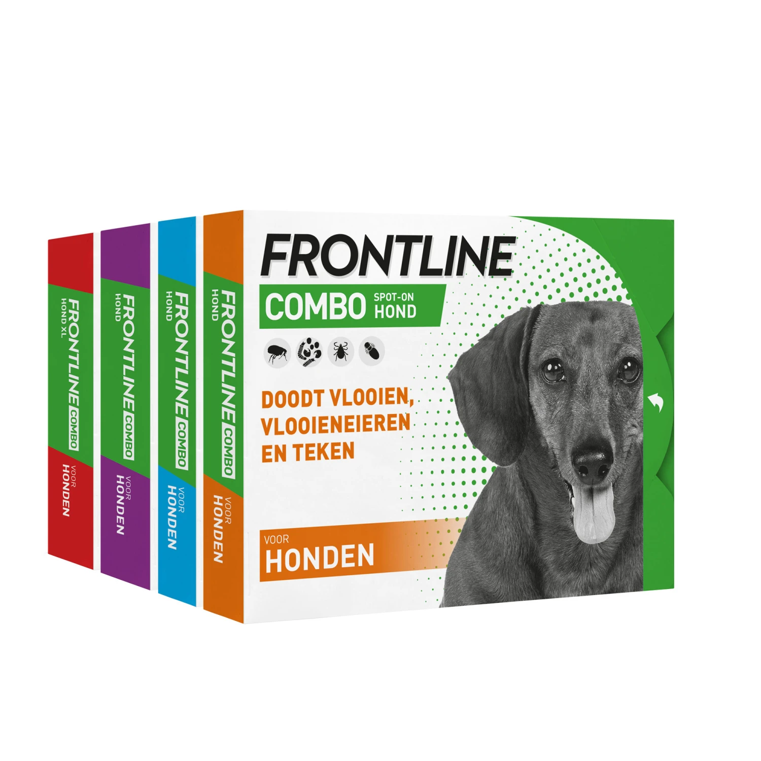 Frontline Combo Line Hond - Afbeelding 17