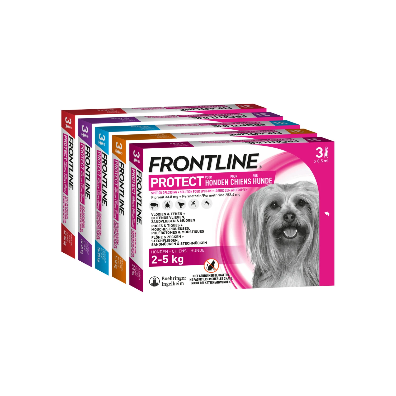 Frontline Protect Hond Spot On - Afbeelding 6