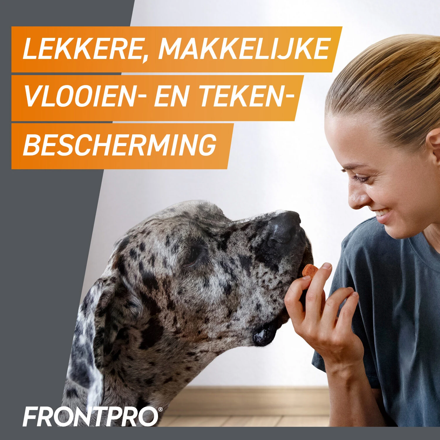 FRONTPRO Kauwtabletten Hond - Afbeelding 18