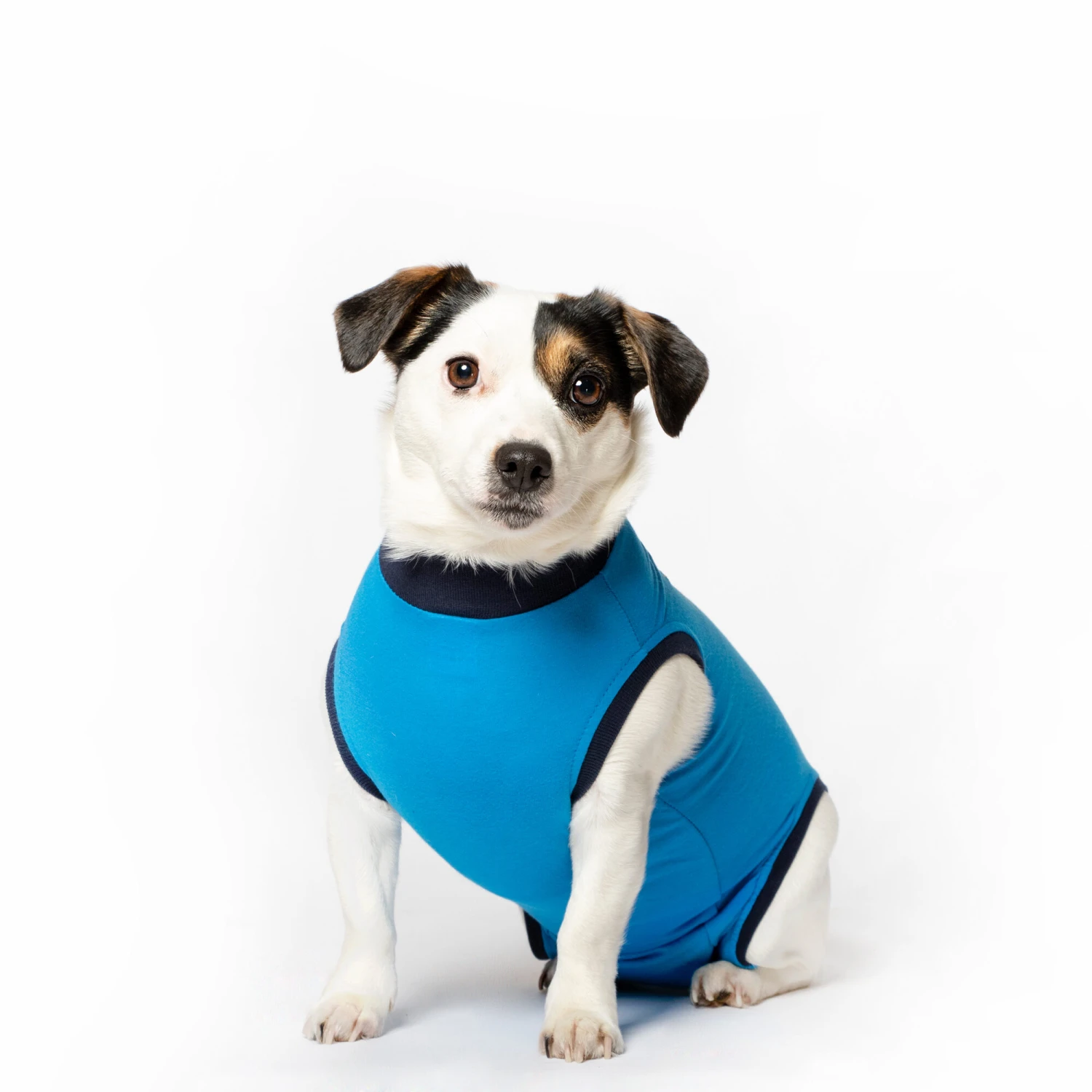 Jacketz Medical Body Suit Hond - Afbeelding 11