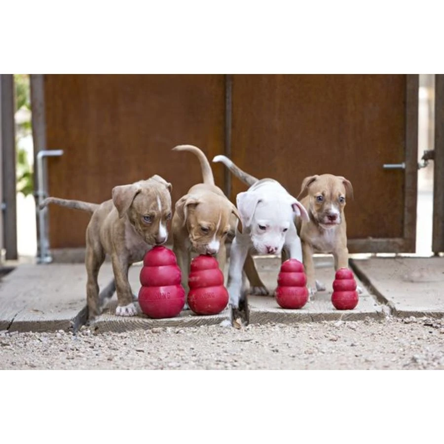 Kong Classic - Afbeelding 2