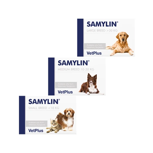 Vetplus Samylin - Tabletten - Afbeelding 4