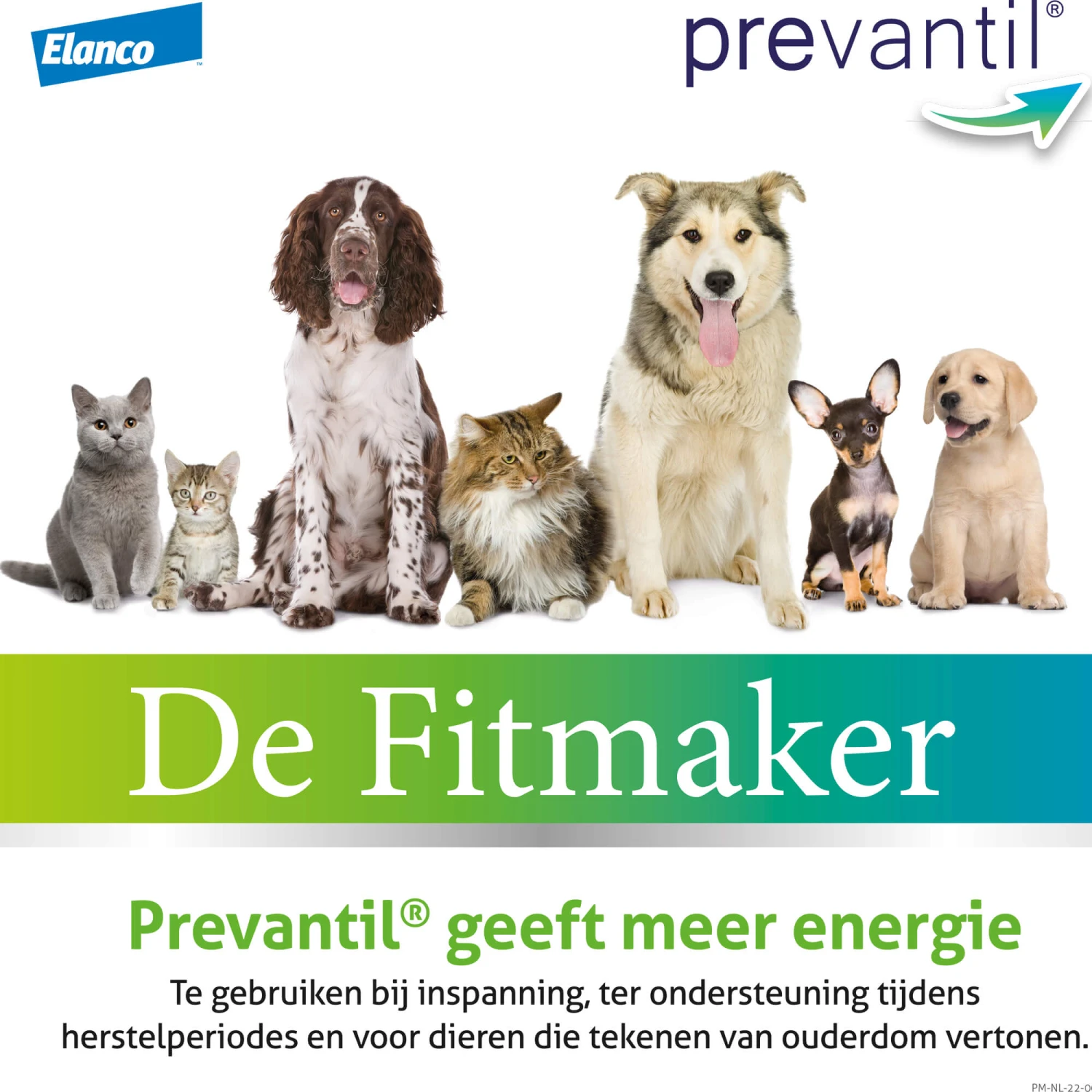 Bayer Prevantil - Afbeelding 5
