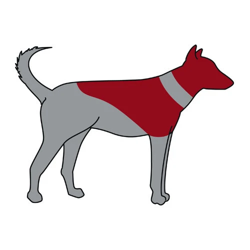 Trixie Opblaasbare Beschermkraag - Afbeelding 3