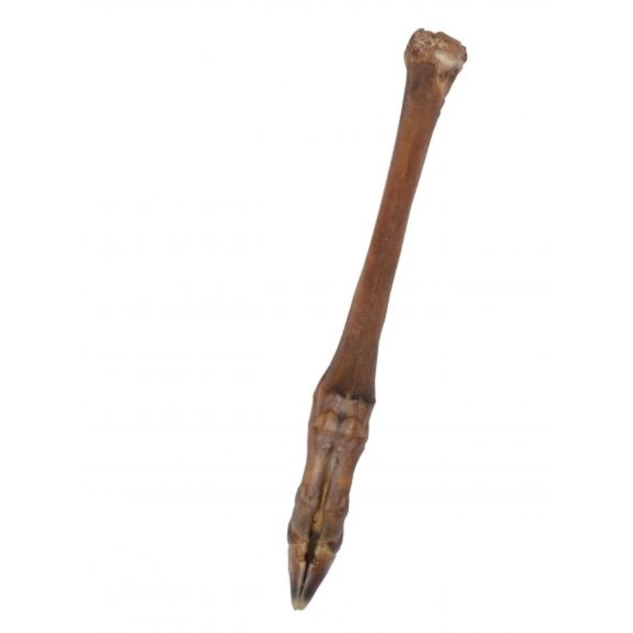 Wielink 10x Ree-pootjes