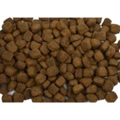 Wielink Lam & Rijst Blanco Hondenbrokken 10 Kg