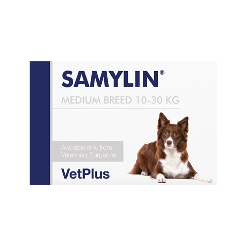 Vetplus Samylin - Tabletten - Afbeelding 2