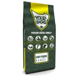 Yourdog Cesky Fousek Puppy